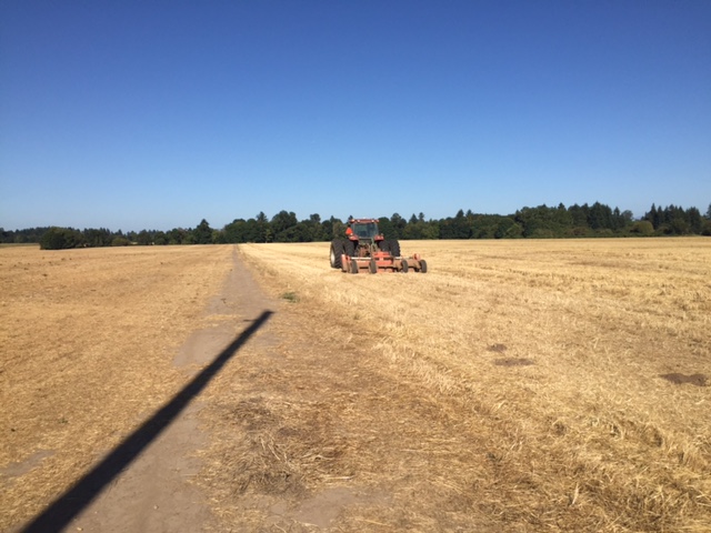 Aurora Oregon, Aurora Oregon Acreage, Aurora Oregon Farm, Aurora Oregon Irrigation